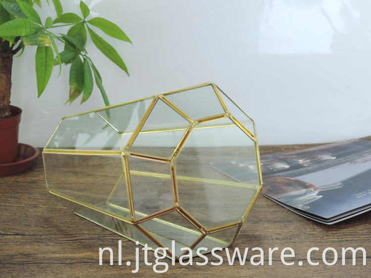 Home decoration Glass Geometric Terrarium 4